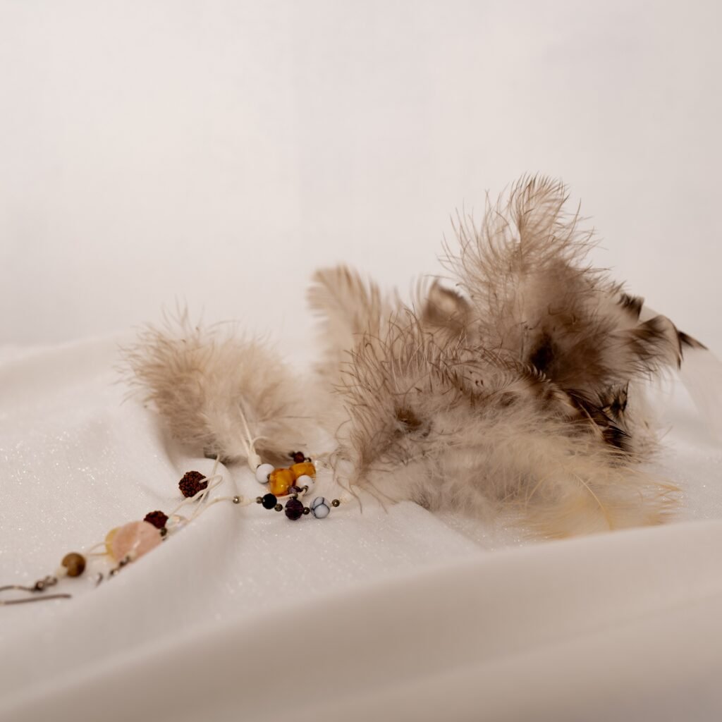 Tooted kõrvarõngas